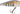 MUSTAD Yuzuki 48 mm color LSLM-48FS-008 Violet Herring