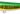 APIA ARGO 69 color 08 Gurikin Kohada