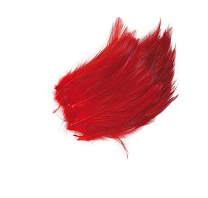 Plumas Rojas Zun zun