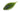 GEECRACK Bellows Gill 2 color 286 Weed Special