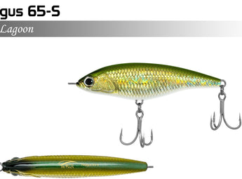 JACK FIN Pelagus 65-S color Lagoon, perfil y dorso
