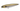 YO-ZURI 3DR-X Pencil 75F color MGZS Matte Gizzard Shad