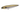 YO-ZURI 3DR-X Pencil 75F color MGZS Matte Gizzard Shad