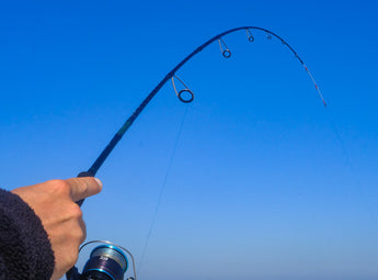 Cana DAIWA Emeraldas Boat en accion, con la puntera blanca y las ligaduras naranjas de la serie