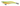 Jibionera Prospec Clicks 3.5 Pro
