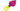 JLC Tokuri color Fluorescent Glow Pink #4